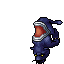Midnight Panther